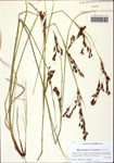 000128378-thumbnail.jpg