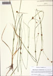 000128381-thumbnail.jpg