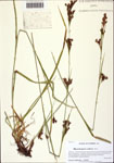 000128383-thumbnail.jpg
