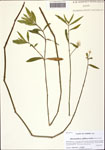 000128384-thumbnail.jpg