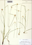 000128411-thumbnail.jpg