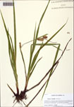 000128832-thumbnail.jpg
