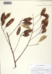 000128859-thumbnail.jpg
