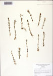 000128865-thumbnail.jpg
