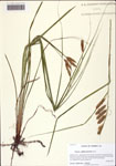 000128945-thumbnail.jpg