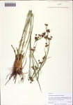 000128962-thumbnail.jpg