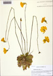 000128972-thumbnail.jpg