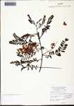 000129623-thumbnail.jpg