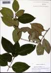 000129745-thumbnail.jpg