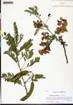 000133139-thumbnail.jpg