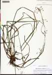 000133185-thumbnail.jpg