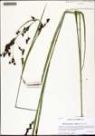 000133258-thumbnail.jpg