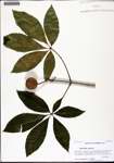 000133351-thumbnail.jpg