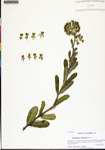 000133598-thumbnail.jpg
