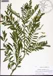 000133643-thumbnail.jpg