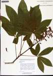000134018-thumbnail.jpg