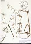 000134144-thumbnail.jpg