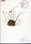 000134350-thumbnail.jpg