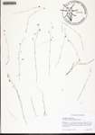 000134351-thumbnail.jpg