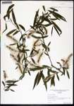 000134595-thumbnail.jpg