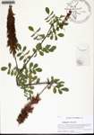 000134899-thumbnail.jpg