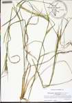 000135244-thumbnail.jpg