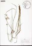 000144170-thumbnail.jpg