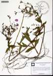 000150034-thumbnail.jpg