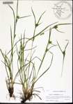 000158285-thumbnail.jpg