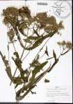 000158316-thumbnail.jpg