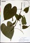 000169434-thumbnail.jpg