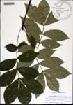 000176412-thumbnail.jpg