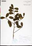 000179279-thumbnail.jpg
