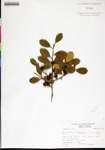 000179288-thumbnail.jpg