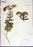 000180069-thumbnail.jpg