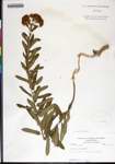 000180072-thumbnail.jpg