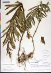 000180076-thumbnail.jpg