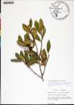 000180303-thumbnail.jpg