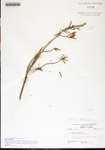 000180349-thumbnail.jpg