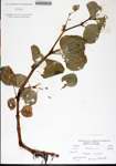 000180350-thumbnail.jpg