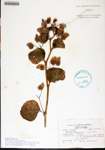 000180351-thumbnail.jpg