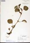 000180352-thumbnail.jpg