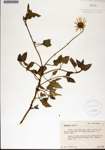 000181779-thumbnail.jpg