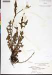 000181854-thumbnail.jpg