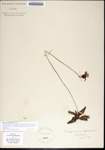 000181953-thumbnail.jpg
