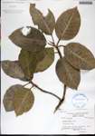 000182002-thumbnail.jpg