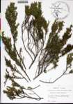 000183174-thumbnail.jpg