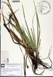000184344-thumbnail.jpg