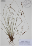 000185385-thumbnail.jpg