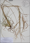 000185507-thumbnail.jpg